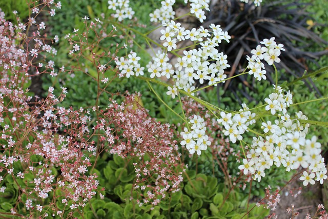 从第三节末