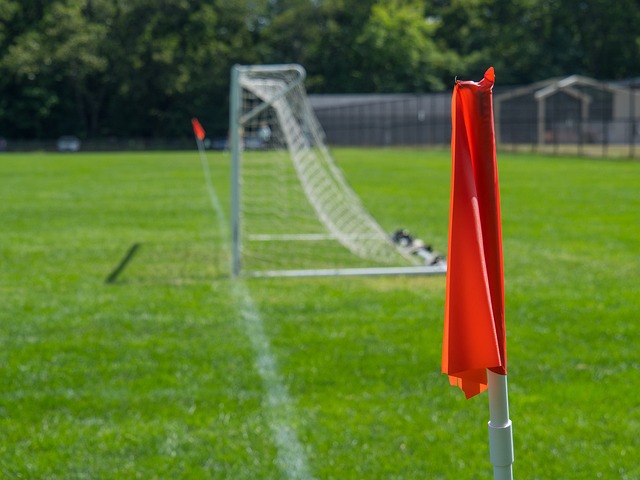 的可持续发 的可持续发