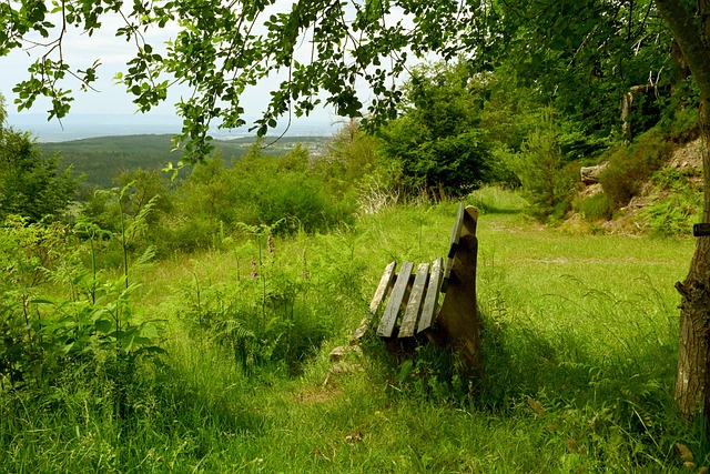 持续发展提 持续发展提