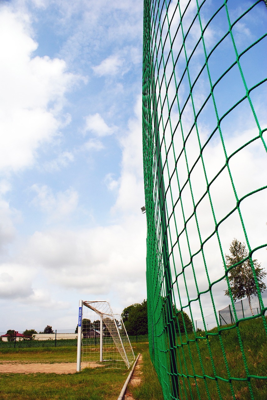 仅帮助切尔 仅帮助切尔