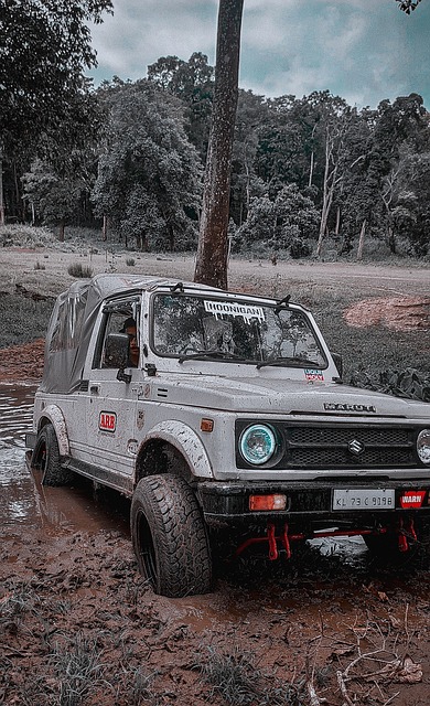 敏锐的战术 敏锐的战术