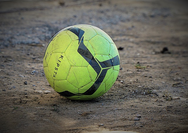 我们提供了 我们提供了